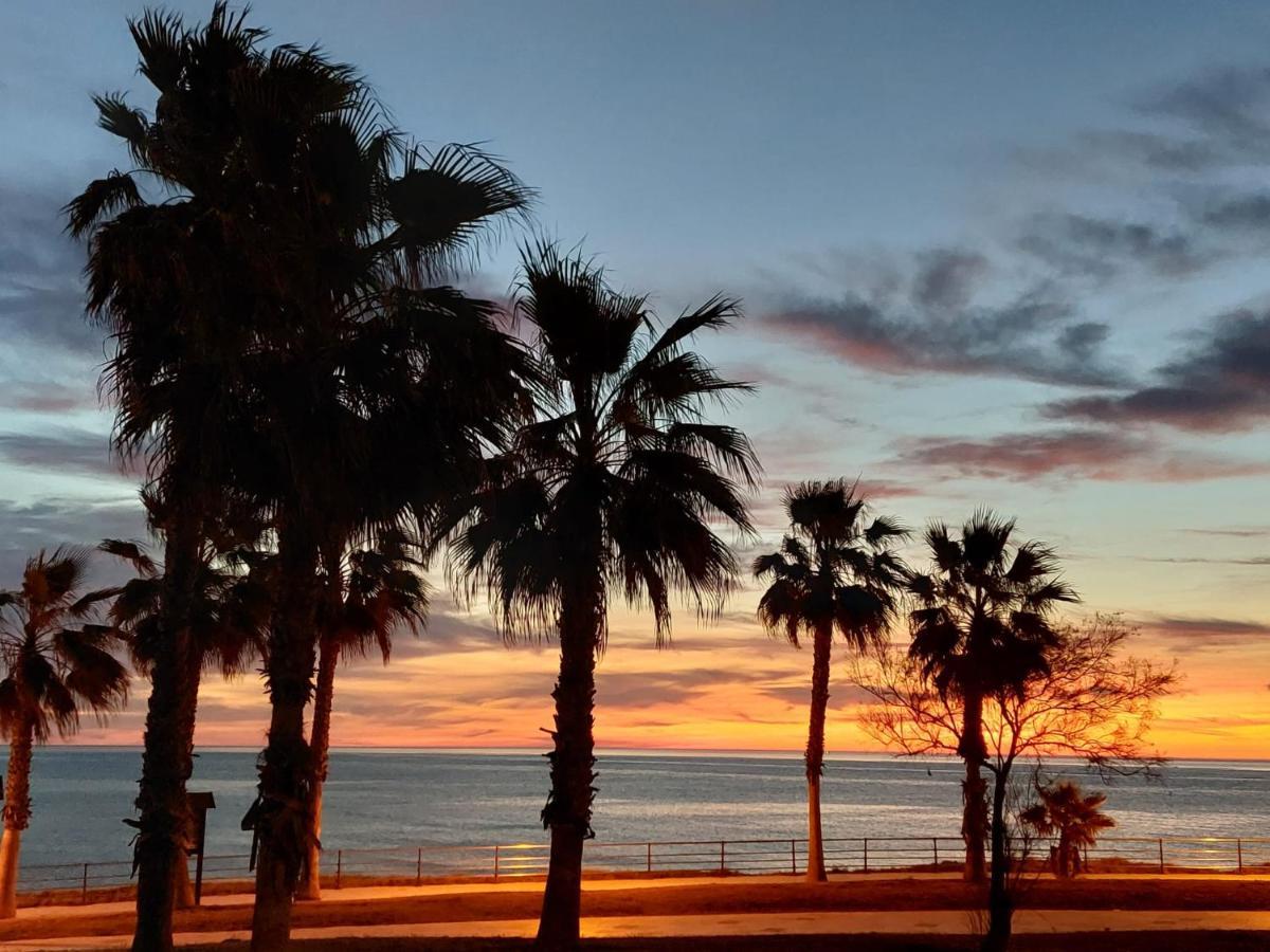 Zenia Hostel Playa Flamenca Luaran gambar